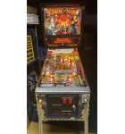 BALLY WILLIAMS THEATRE OF MAGIC Pinball Machine