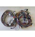 BENCHMARK MONSTER DROP Redemption Game COMPLETE HARNESS (2257)