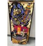 GOTTLIEB FREDDY A NIGHTMARE ON ELM STREET Pinball machine PLAYFIELD #9175