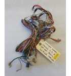 MIDWAY CRUIS'N WORLD 25" SIT-DOWN Arcade Game COMPLETE UNCUT WIRING HARNESS #8545 