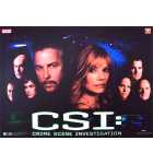 STERN CSI Pinball Machine Translite Backbox Artwork #830-52A2-00 (2503)  