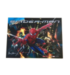 STERN SPIDER-MAN Pinball Translite #830-5294-00 (7441)  