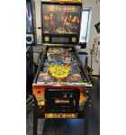 Stern PIRATES OF THE CARIBBEAN Pinball Machine for sale 