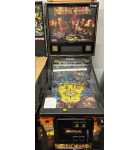 Stern PIRATES OF THE CARIBBEAN Pinball Machine for sale 