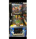 WILLIAMS RED & TED'S ROAD SHOW Pinball Machine for sale