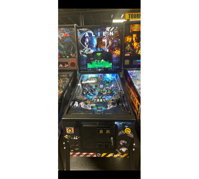 PINBALL BROTHERS ALIEN - ELLEN RIPLEY VERSION Pinball Machine for sale