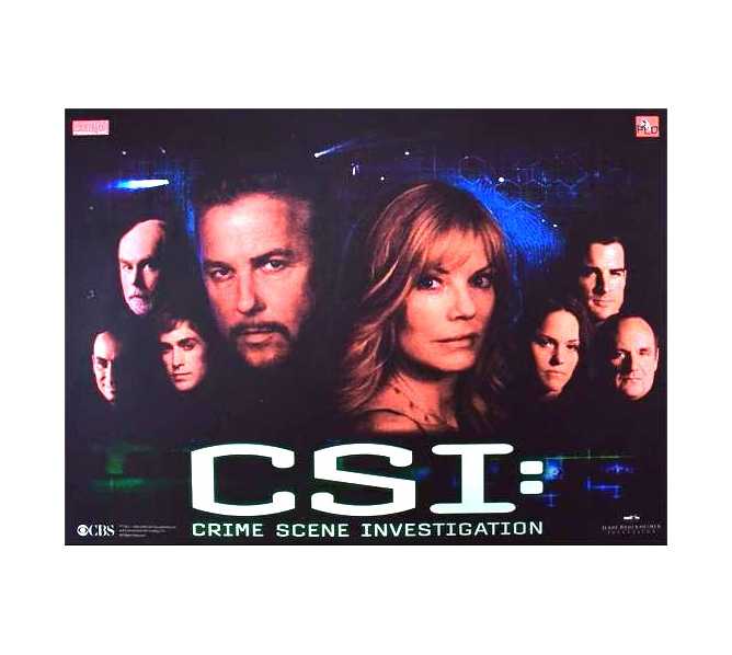 STERN CSI Pinball Machine Translite Backbox Artwork #830-52A2-00 (2503)  