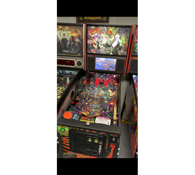 STERN ELVIRA'S HOUSE OF HORRORS PREMIUM Pinball Machine for sale  