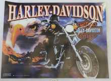 SEGA HARLEY DAVIDSON 1st Edition Pinball Machine Translite (2492) 