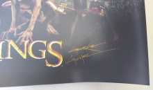 STERN LORD OF THE RINGS Pinball Machine Translite (2489)