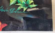 WILLIAMS CONGO Pinball Machine Translite Backbox Artwork (2488)