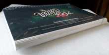 JERSEY JACK WIZARD OF OZ Pinball Machine Operations Manual 