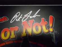 Ripley's Believe It Or Not Pinball Machine Game Translite Backbox Artwork - Framed - Signed by Pat Lawlor - Stern - for sale
